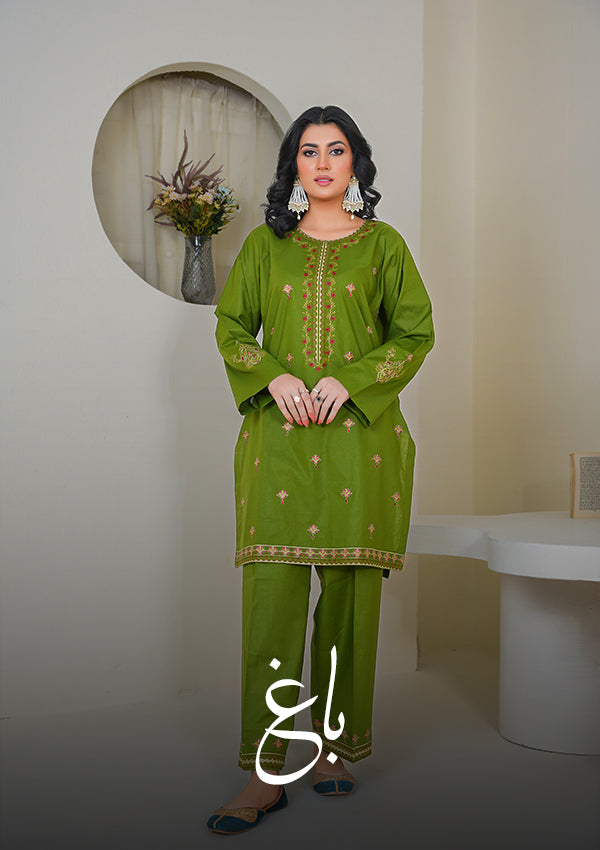 Baagh 2 PC Embroidered Suit